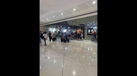 Corgis Parade Through Mall on Toy Car