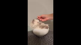 The Cutest Little Soup