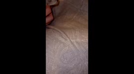 Tiny Massage For A Tiny Kitten