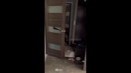 Kherson resident returns to devastation: home ravaged by conflict