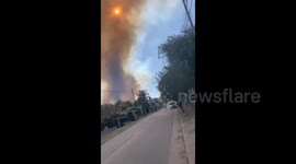 Argentina: Forest Fire Breaks Out In Córdoba, Arson Suspect Arrested
