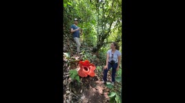 #2 Lucky French tourist found 2 rare corpse flowers in Indonesia rainforest