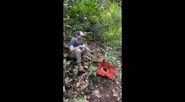 #3 Lucky French tourist found 2 rare corpse flowers in Indonesia rainforest