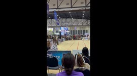 Pet Golden Retriever dog crashes into barrier during race at show