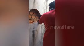 Resident saves cat struck in gap behind concrete garden wall