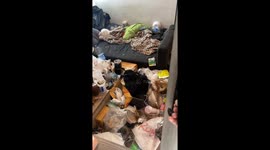Filthy tenants turn rented condo room into sewage-covered rat pit