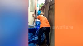 Sinister cobra caught by wildlife handlers near resident's yard in Thailand