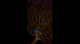 Tourist walks along beach glowing with bioluminescent planktons