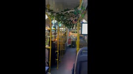 Chinese Bus Adorned with Hanging Gourds Paying Tribute to Classical Chinese Animation