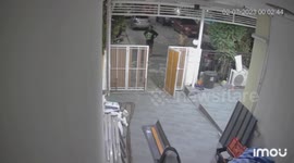 Massive monitor lizard runs through Thai driveway before being caught