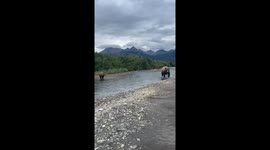 Incredible moment man encounters mother bear and cubs out FISHING Part 3/5