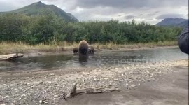 Incredible moment man encounters mother bear and cubs out FISHING Part 5/5