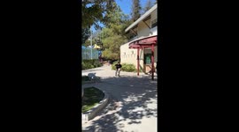Skateboarder forced to question his passion following INSANE Ollie blunder