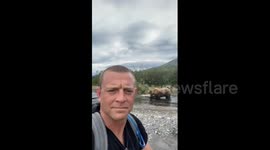 Incredible moment man encounters mother bear and cubs out FISHING