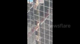 'Pro-life Spider-Man' arrested after scaling 42-storey building in Chicago