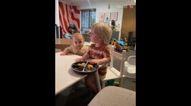 Hungry baby tries to steal the food from toddler brother's plate