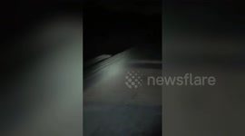 Invasive species of crab spotted walking down road near British waterway