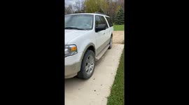 Chicken Shut in Car Leaves Behind Gift