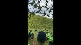 Cattle Causes Chaos on the Trail