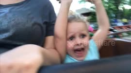 Roller Coaster Reactions