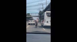 Pup Rides As Passenger on Bike