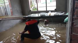 Trapped Dog Saved From Flood