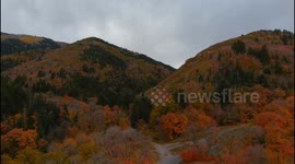 Stunning footage of Utah canyon given autumnal makeover as leaves turn shades of orange