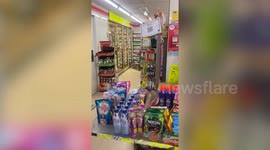 Rampaging monitor lizard raids SUPERMARKET and climbs on shelves in search of food (archive)