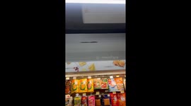 Godzilla returns! Monitor lizard crawls above supermarket shelves in Thailand