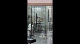 Timid Tap Dancing Shiba Inu Dog Wins Hearts Whose Hair Being Dried in Chinese Pet Store