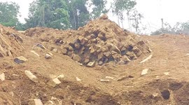 Mining expedition finds traces of Stone Age civilisation in jungles of Indonesia