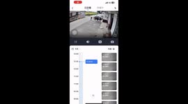Traffic Accident Startles Dog Sleeping at the Doorstep in China