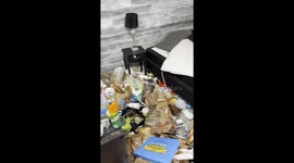 'I'm the 'Queen of Cleaning'– I scrub strangers' filthy homes for FREE and I love it' Part 1/5