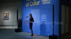 NY: Matisse and Derain Exhibition Opens at The Met In NYC