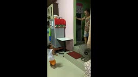 Little Gentleman Helps Grandma Down Steps