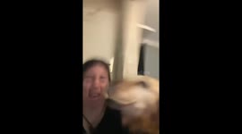 Dog Steals Mouthful Of Bread
