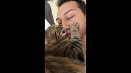 Cat Bites Man's Nose