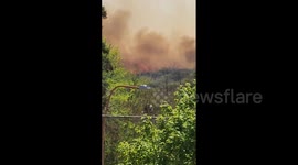 Argentina: Forest Fires Break Out In Córdoba 4