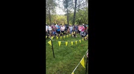 Basset Hound Races