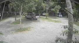 Pickup truck drives away with pet cat sitting on the roof
