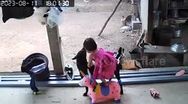 Toddler attempts horseback ride with pet dog