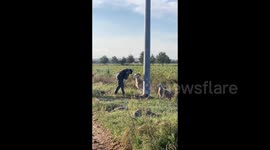 Man and Goat Butt Each Other in Jining, China