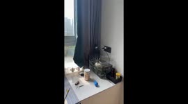 Chinese Tortoise Enjoys Sunbathing in Miniature Swimming Ring