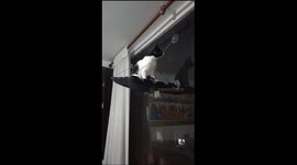 Pull The Lever, Kronk