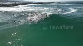The Wedge Topples Boogie Boarders