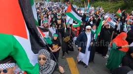 Thousands in Cape Town march in support of Palestine