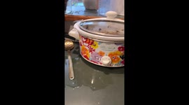Rotten Watermelon Leaks On The Counter