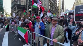 New York: pro-Israeli and pro-Palestinian demonstrators rally in Times Square