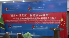 Tanzanian companies express high expectations for 6th China International Import Expo