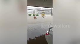 Locals rescue pet cat as catastrophic deluge submerges roads in eastern Thailand